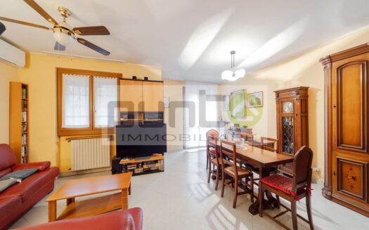 Villa a schiera via Ticino 3, Centro, Segrate